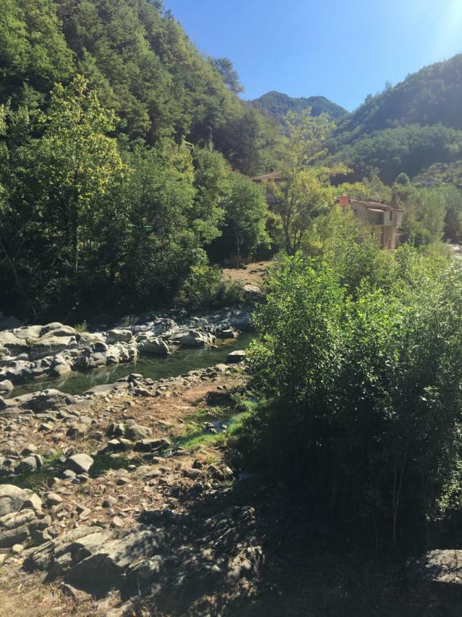 River Idyll باني دي لوكا المظهر الخارجي الصورة